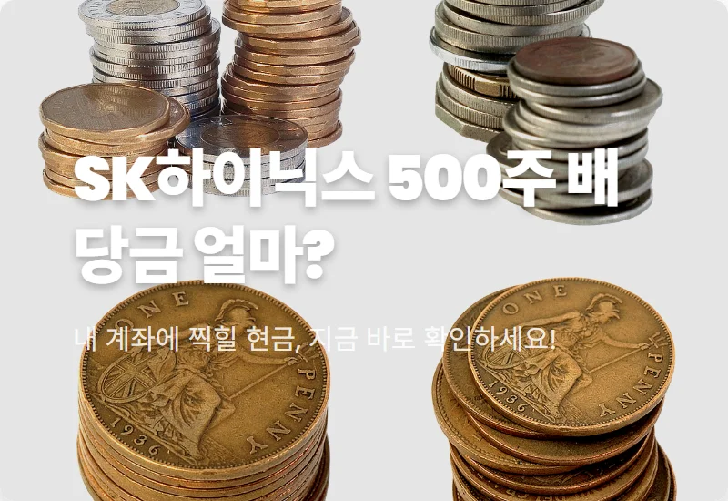 SK하이닉스 배당금 500주 보유 시 현실적인 수령액과 지급일 꿀팁