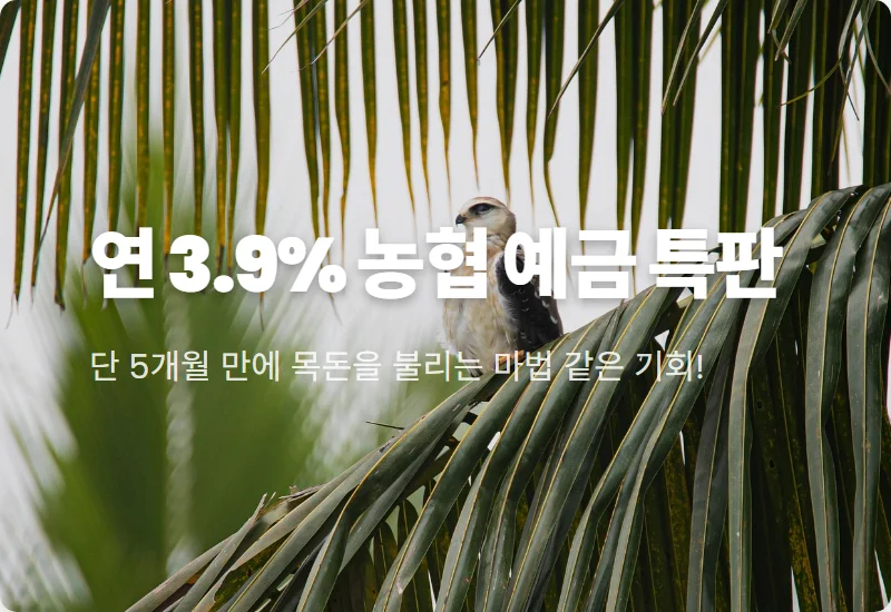 이천 모가농협 예금 특판 연 3.9% 5개월 1,000만원 이자 가입 꿀팁