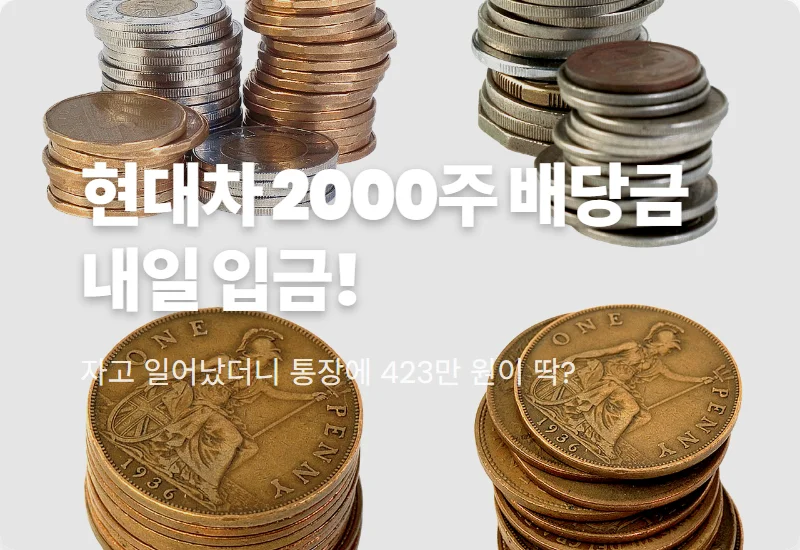 현대차 주식 배당금 2000주 보유 시 내일 받는 금액과 세금 계산 현실적인 방법