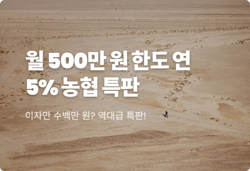 농협 정기적금 특판 5% 월 500만 원 한도 가입하는 현실적인 방법 꿀팁