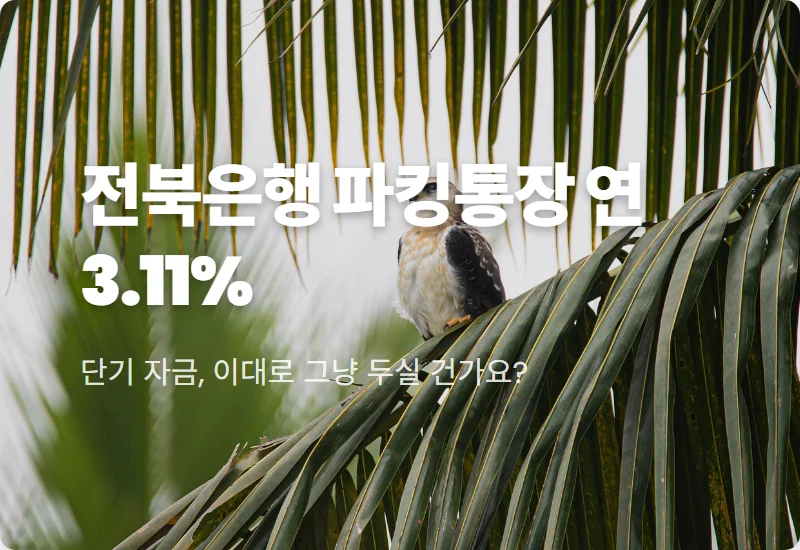 전북은행 파킹통장 씨드모아 연 3.11% 금리 및 가입 조건 솔직 후기