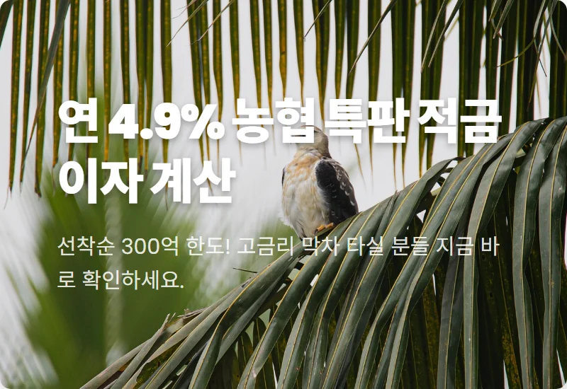 농협 정기적금 특판 4.9% 하남농협 가입 방법 및 12개월 이자 수령액 현실적인 꿀팁