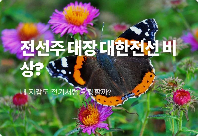 대한전선 주가 전망 123% 영업이익 폭발적 성장에 따른 현실적인 대응 방법
