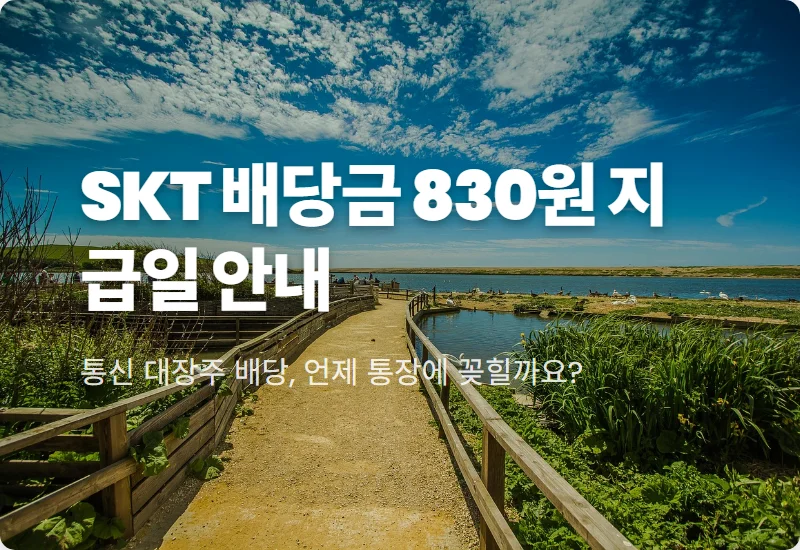 SK텔레콤 배당금 830원 지급일 및 2026년 주주환원 현실적인 투자 꿀팁