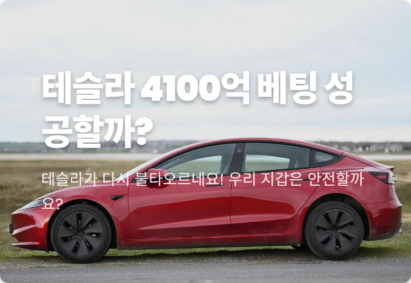 테슬라 주가 4100억 베팅 성공할까? 서학개미의 현실적인 투자 전략과 2026년 전망