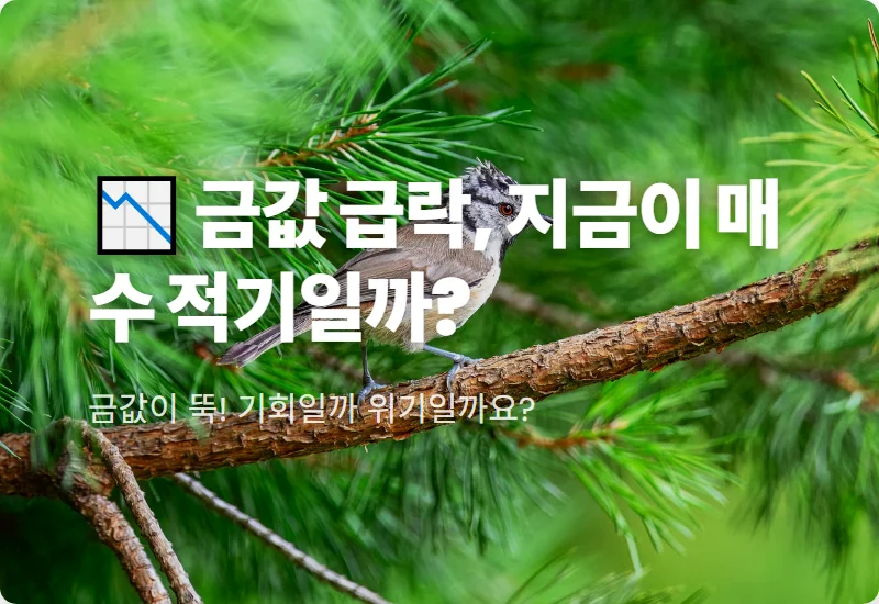 금시세 2달 만에 최저치! 지금이 매수 기회일까? 현실적인 금 투자 전략