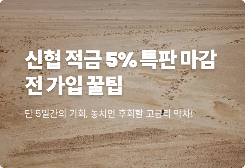 신협 적금 특판 연 5% 이자 챙기는 현실적인 방법과 마감 전 체크리스트
