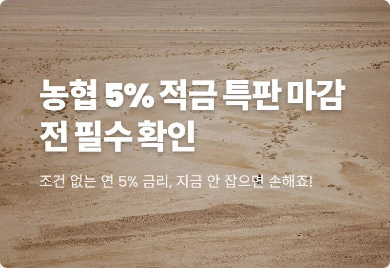 농협 5% 특판 적금 현실적인 가입 방법 및 마감 전 꿀팁
