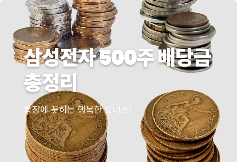 삼성전자 배당금 지급일 1분기 확인! 500주 보유 시 현실적인 수령액 총정리
