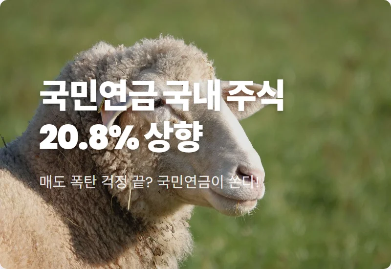 국민연금 국내 주식 20.8% 확대! 내 주식 지키는 현실적인 대응 방법