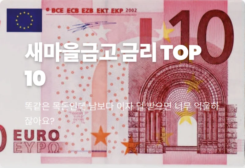 새마을금고 정기예금 금리 높은 곳 10곳 순위 비교! 이자 더 받는 현실적인 꿀팁