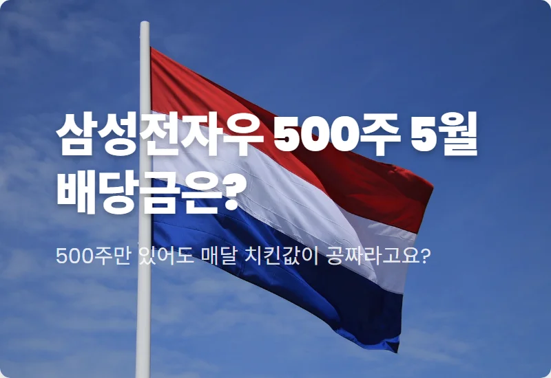 삼성전자우 500주 5월 배당금 세후 실수령액과 현실적인 투자 꿀팁