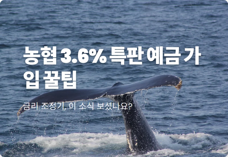 농협 예금 특판 1년 연 3.6% 삼죽농협 가입 조건 및 현실적인 꿀팁