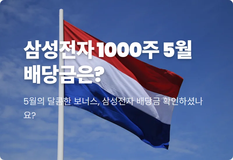 삼성전자 배당금 1000주 5월 수령액 현실적인 계산과 지급일 꿀팁