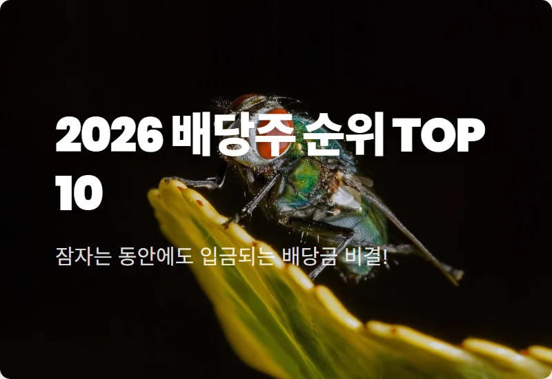 국내 배당주 순위 TOP 10, 2026년 8% 수익률 챙기는 현실적인 투자 방법