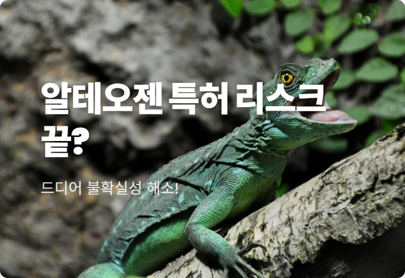 제목 없는 뉴스 게시물