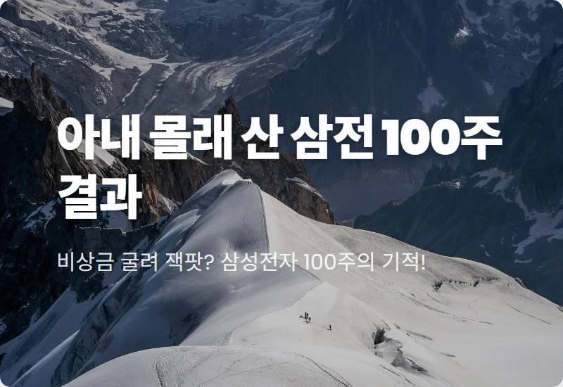 삼성전자 100주 아내 몰래 산 현실적인 수익률과 비상금 솔직 후기