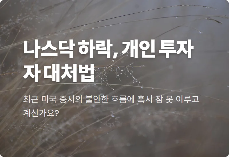 나스닥 4일 연속 하락, 국내 증시와 개인 투자자 3가지 현실적인 대처법