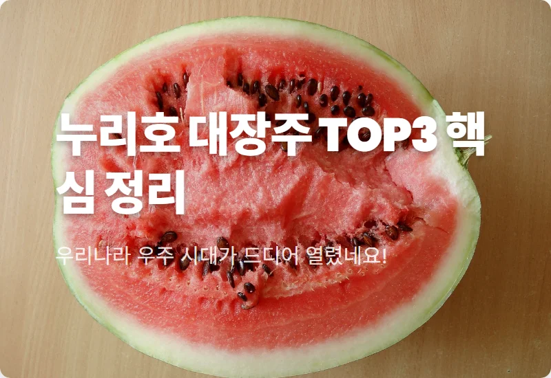 누리호 관련주 TOP3 우주항공 대장주 분석 현실적인 투자 방법 꿀팁