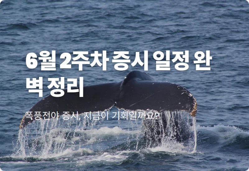 6월 2주차 증시 일정, 미국 CPI와 FOMC 금리 결정 대응 전략 꿀팁