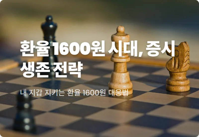 원 달러 환율 1600원 전망 현실적인 생존 전략 3가지