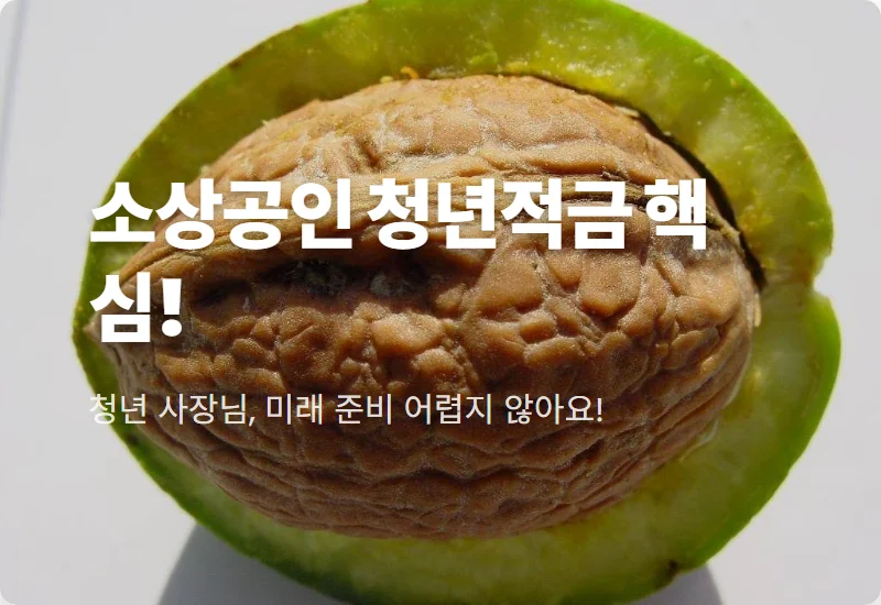 2026 소상공인 청년미래적금: 가입 전 필수 확인서 발급 꿀팁 3가지