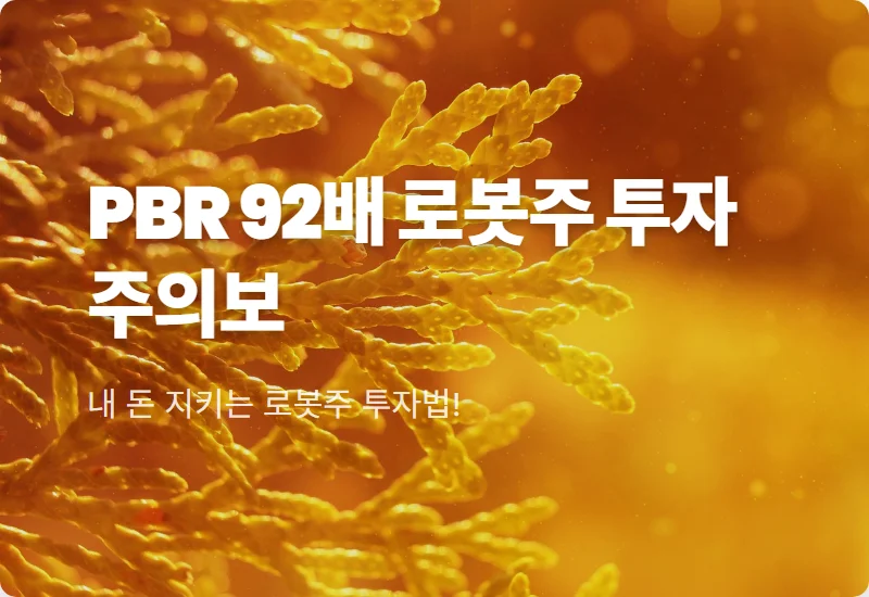 레인보우로보틱스 주가 전망, PBR 92배 고평가 논란 속 현실적인 투자 방법