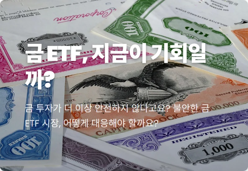 금 ETF 자금 이탈 현상, 고금리 시대 투자자 현실적인 대처 방법은?