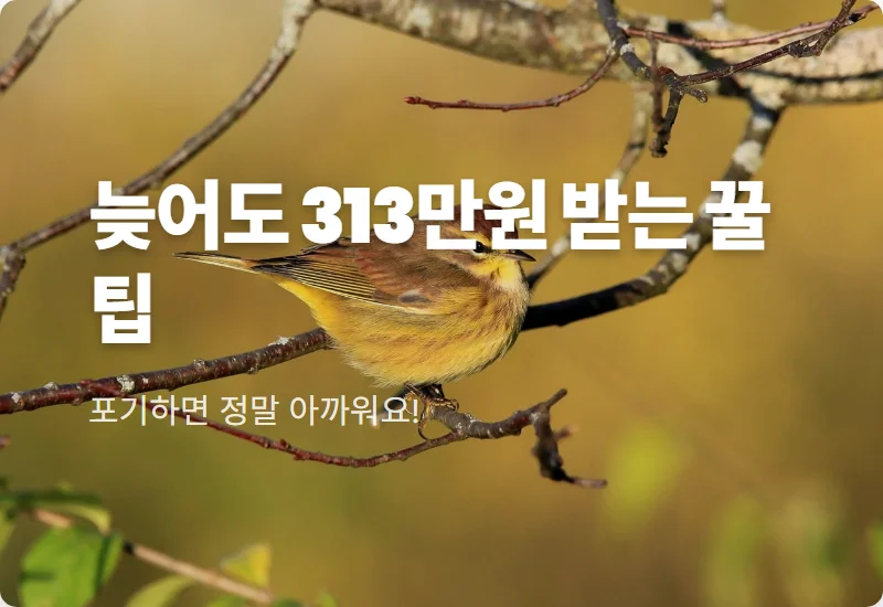 근로장려금 기한 후 신청 313만원 받는 현실적인 방법