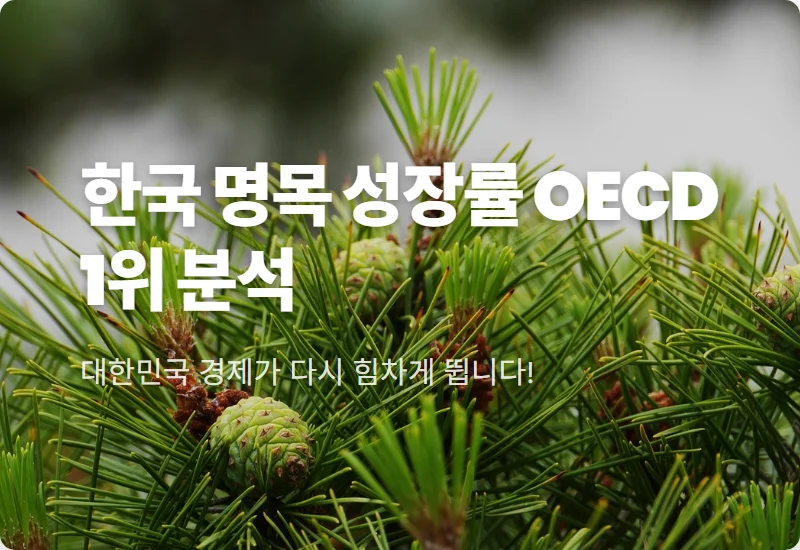 한국 명목 성장률 OECD 1위 달성 이유 3가지와 현실적인 GDP 세계 순위 변화 전망
