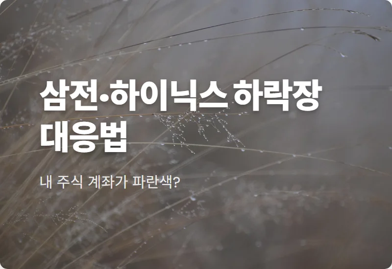 삼성전자 하이닉스 주가 전망, 이번 주 폭락 대비하는 3가지 현실적인 대응 방법