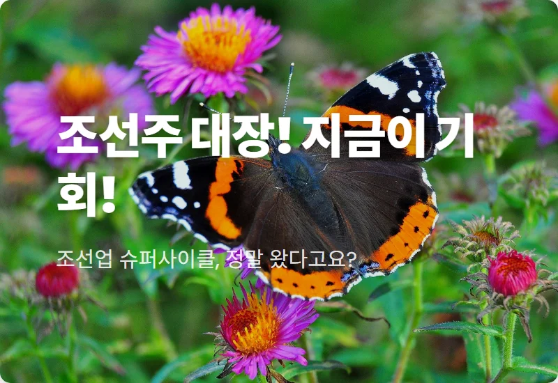 조선주 슈퍼사이클? 2024년 고부가가치 친환경 선박 투자 대장주 고르는 현실적인 꿀팁!