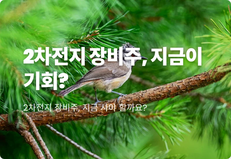 2차전지 장비주, 2026년 반등 기회 잡는 투자 꿀팁 4가지