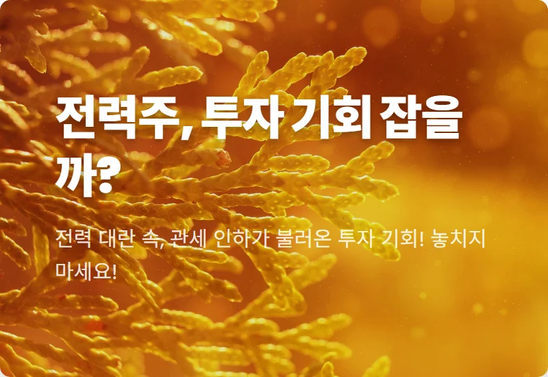 미국 변압기 관세 10% 인하, 국내 전력주 정말 꽃길일까? 개미 투자자를 위한 핵심 분석!