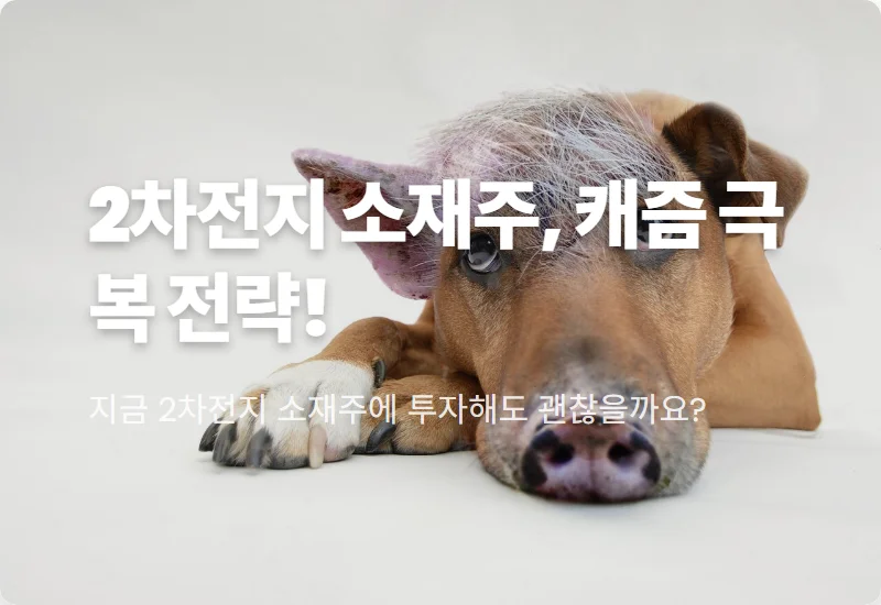 2차전지 소재주 투자, 캐즘 극복하는 핵심 2종목과 현실적인 꿀팁
