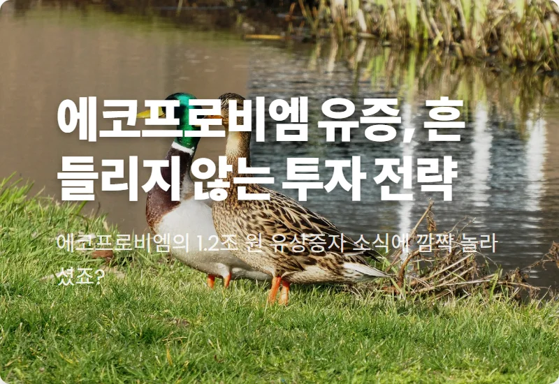 에코프로비엠 1.2조 유상증자, 주주가치 희석 우려? 현명한 투자 전략 3가지 꿀팁!