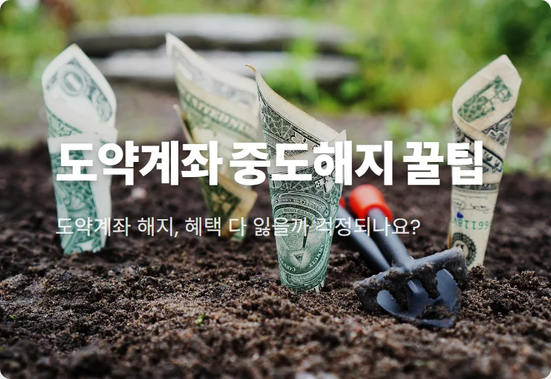 청년도약계좌 특별중도해지: 정부기여금 지키는 4가지 조건 꿀팁