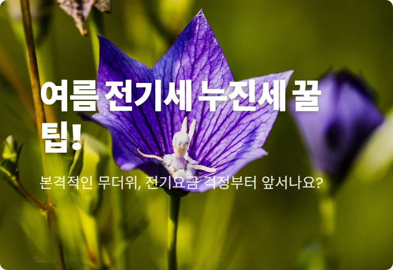 2026년 7-8월 여름 전기세 누진세 구간! 에어컨 요금 폭탄 피하는 현실적인 꿀팁