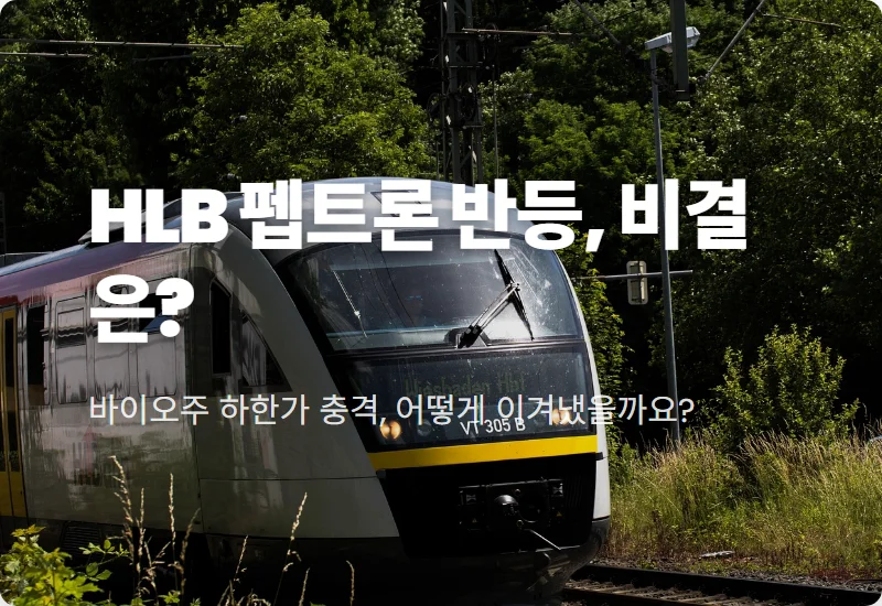 HLB 주식 펩트론 주가, 하한가 반등 비결 3가지! 현명한 바이오 투자 전략 공개