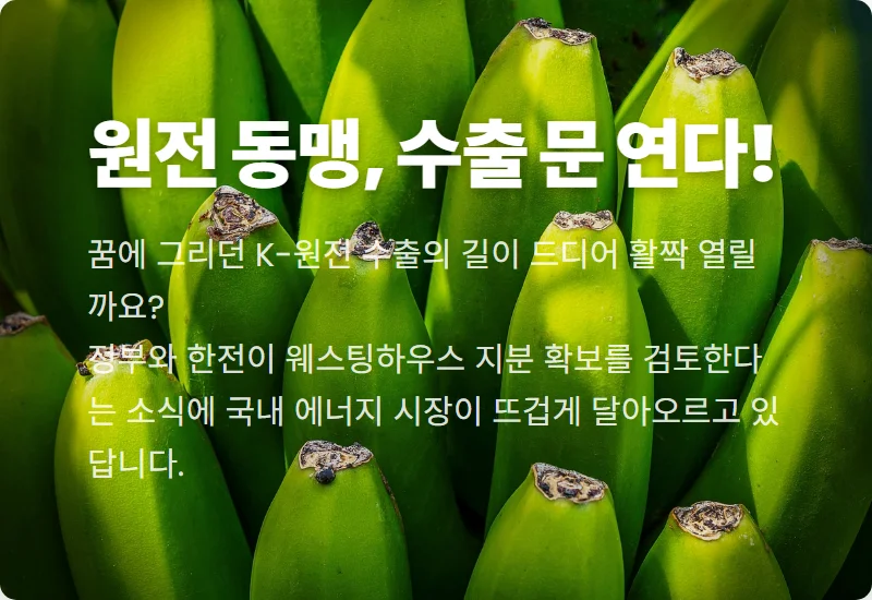 웨스팅하우스 공동인수: 국내 원전 TOP2 수혜주 전망과 IP 해결 꿀팁 3가지