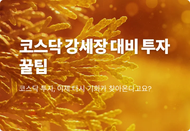 코스닥 강세장 전환? 2024년 저평가 종목 발굴 현실적인 투자 꿀팁 3가지