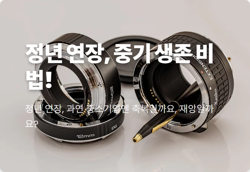 정년 65세 연장 중소기업: 인건비 폭탄 현실 대처, 청년 고용 절벽 막는 꿀팁!