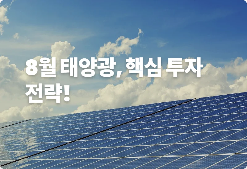 8월 태양광 투자, 글로벌 에너지 전환 속 현실적인 꿀팁과 전망
