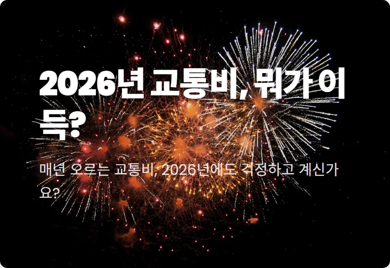 2026년 교통비 꿀팁: 기후동행카드 vs K패스, 나에게 최적의 선택은?