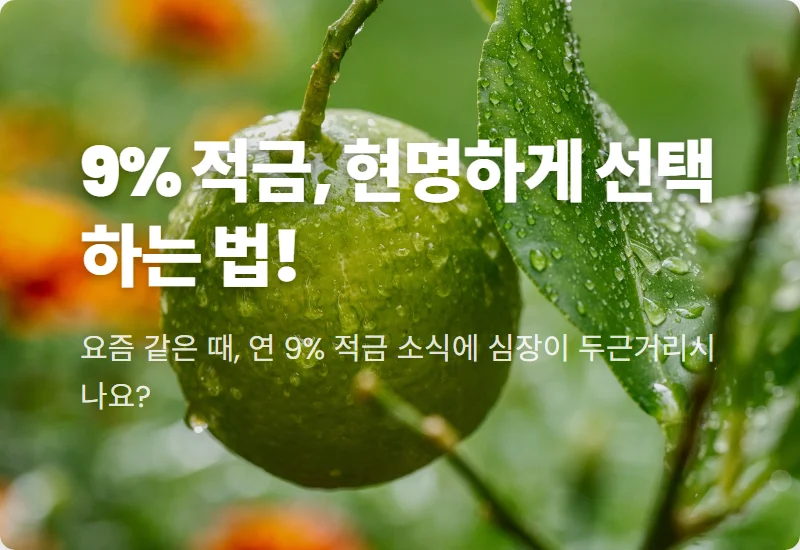 현실적인 1금융권 9% 적금, 지금이라도 막차 탈 수 있을까? 꿀팁과 주의사항