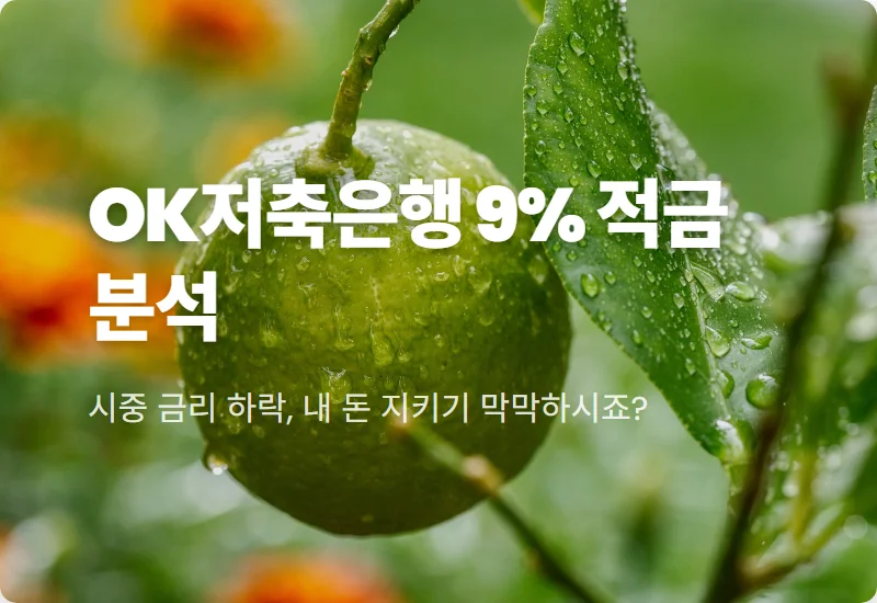 OK저축은행 연 9% 적금, 현실적인 만기 이자 수령액 확인 꿀팁!