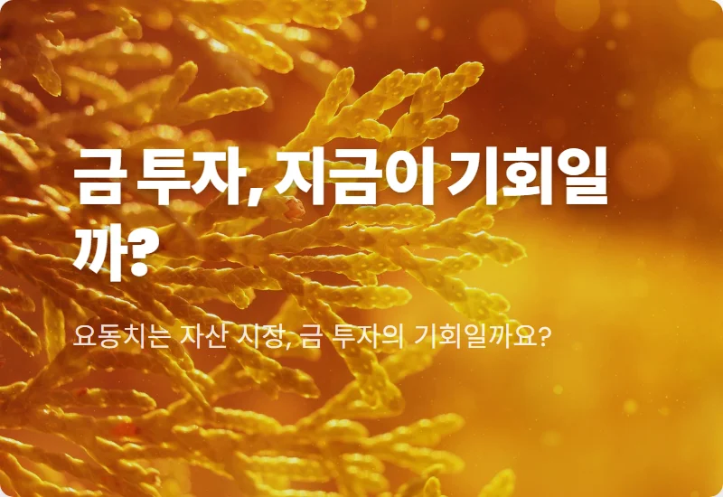 오늘의 금시세 조정기, 순금 18K 14K 백금 지금 매수해도 될까? 현실적인 금 투자 결정 꿀팁!