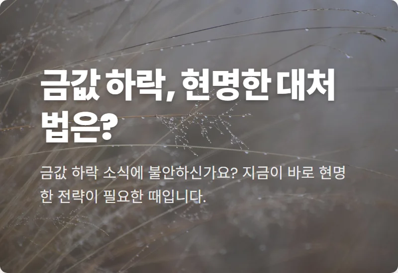 금값 하락과 골드만삭스 전망: 현명한 금 투자 전략 3가지 🔑